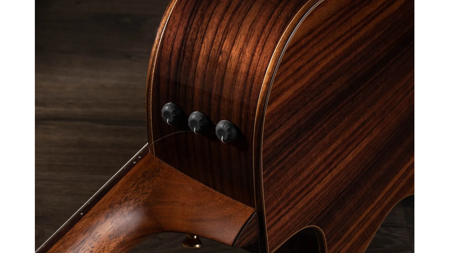 Jason Mraz Signature Model (JMSM)Indian Rosewoodアコースティック
